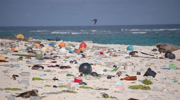 rifiuti plastica mare