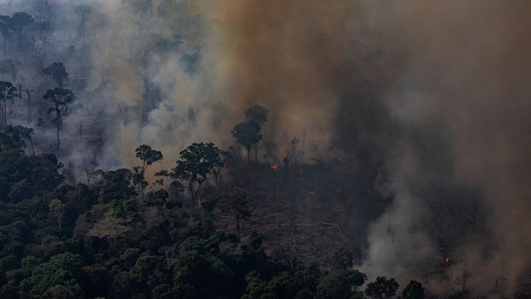 Incendio che arde nella foresta pluviale amazzonica DiCaprio