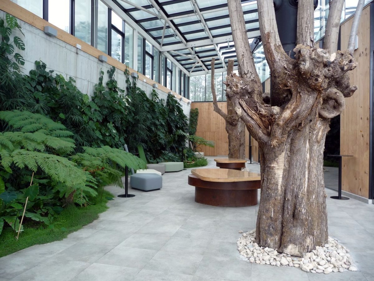 Azurmendi, giro del mondo