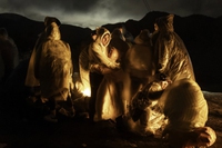 Le foto che hanno vinto il World press photo 2025