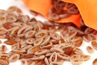 Semi di psillio, fibre naturali
