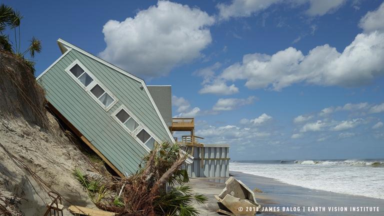 The Human Element James Balog