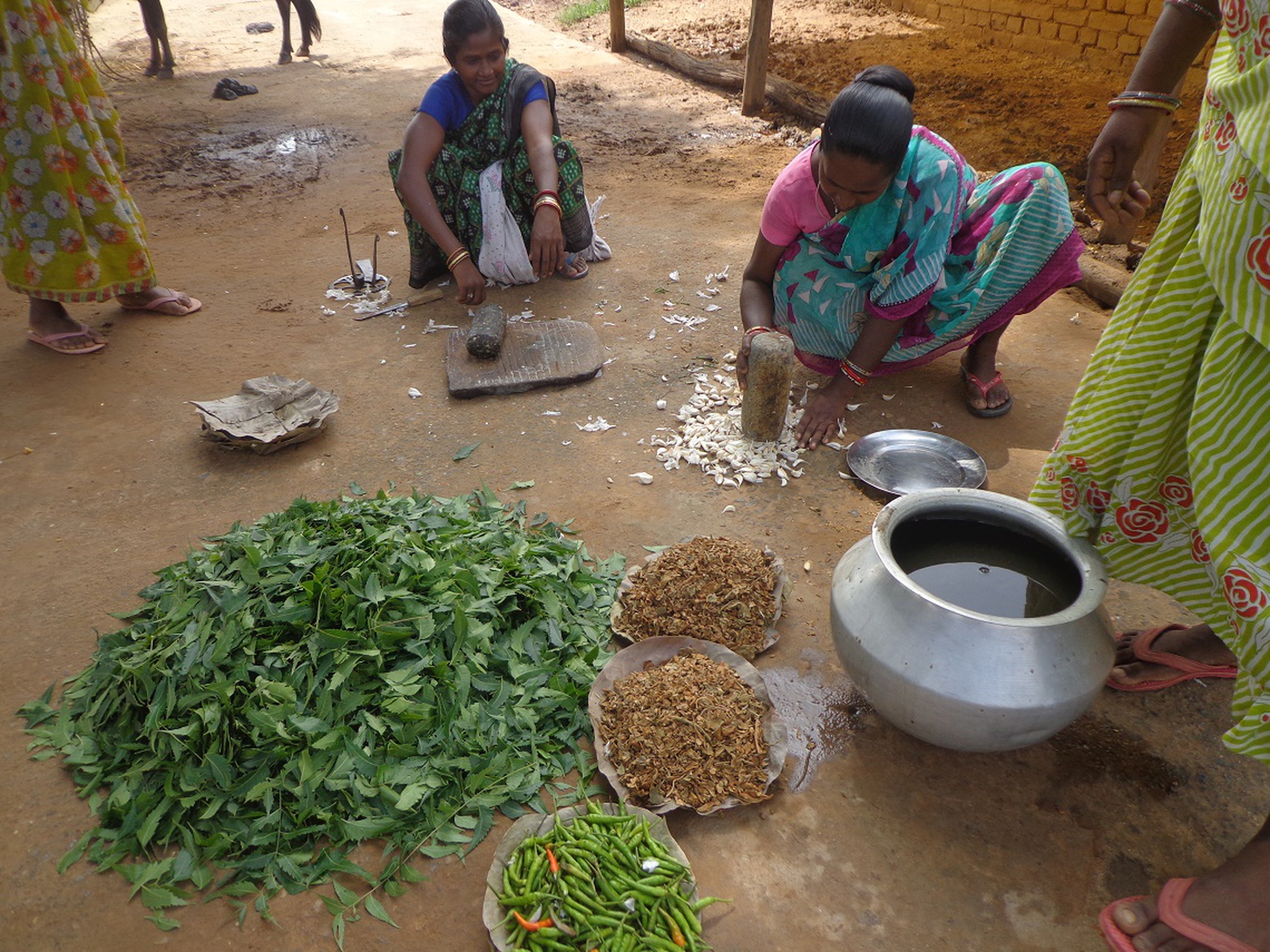 Organic farming change lives of tribal communities in India