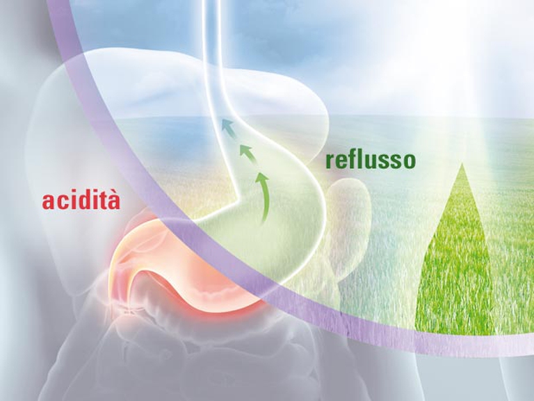 mucillagini di malva azione stomaco