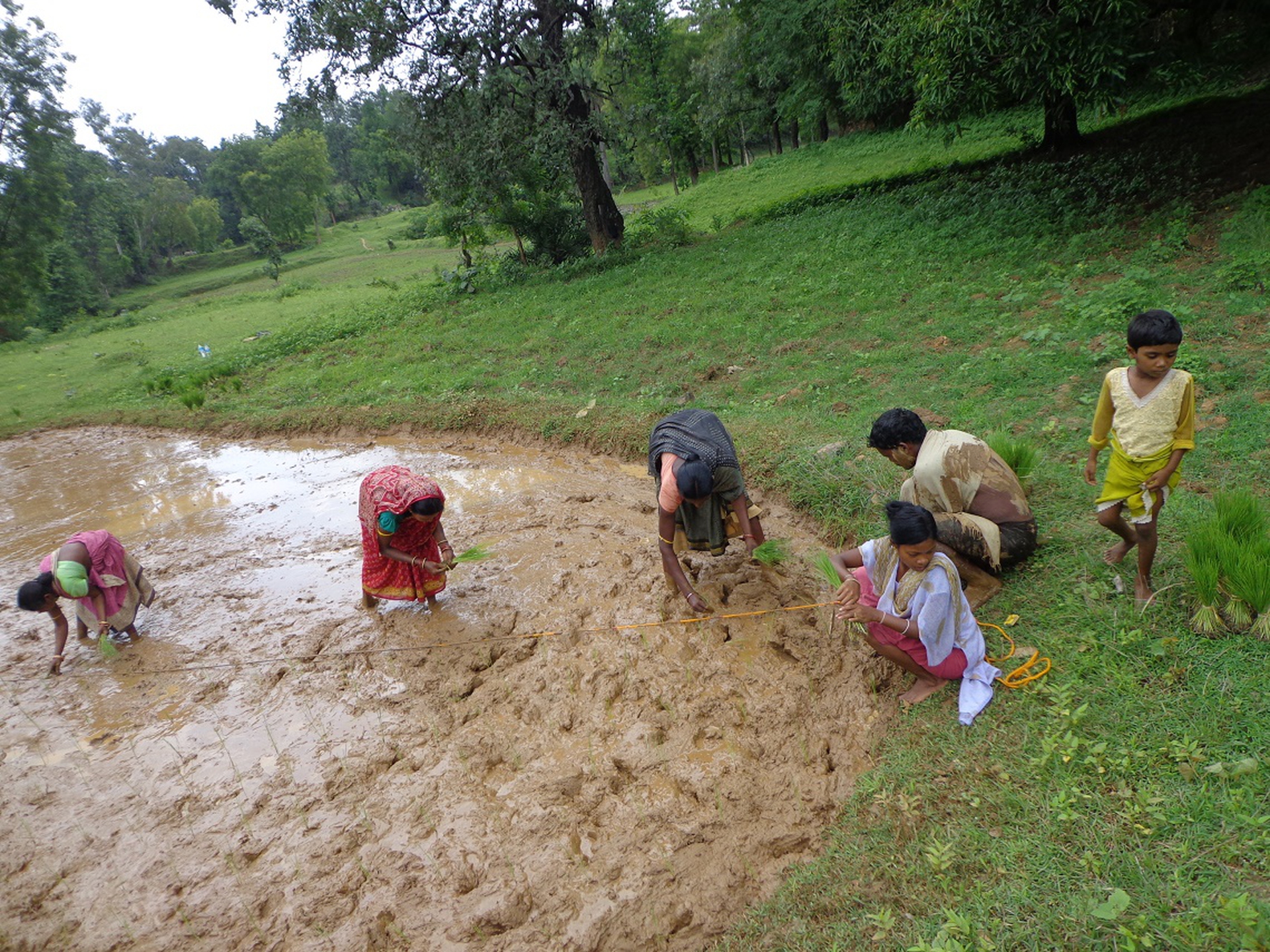 Organic farming change lives of tribal communities in India