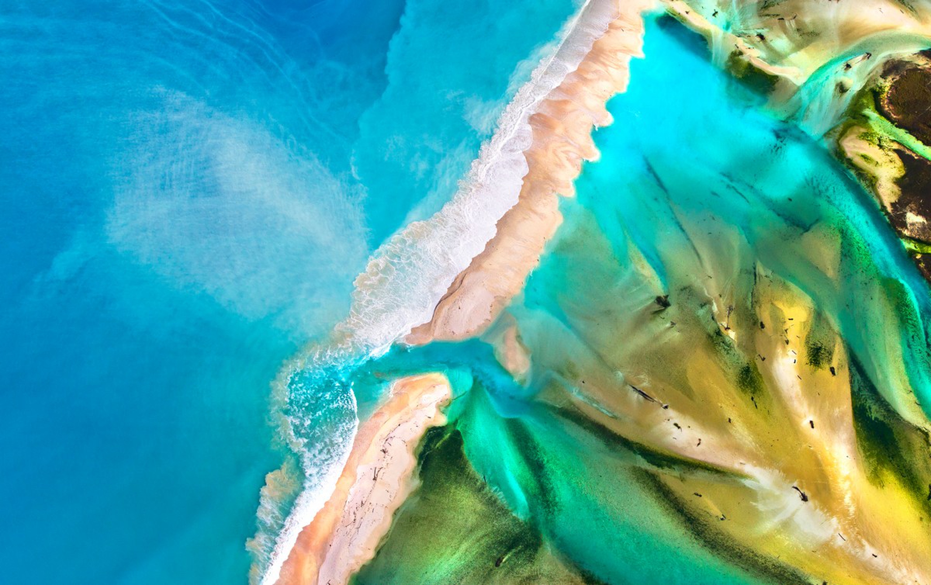 Vista aerea del fiume Baraiman e della foresta che lo circonda