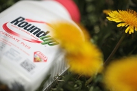Glifosato, Bayer pagherà 10 miliardi di dollari per chiudere 95mila processi