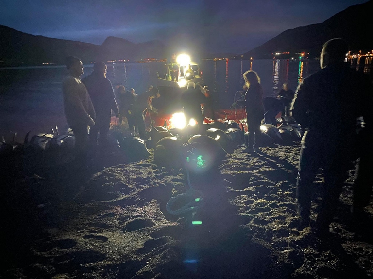 1.428 delfini sono stati uccisi durante una Grindadráp alle isole Faroe