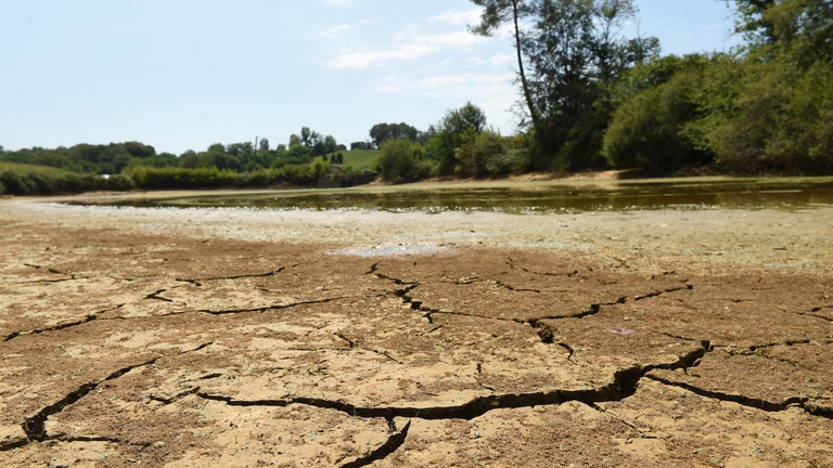 Gli effetti della siccità in Francia