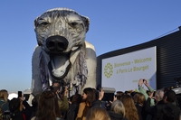 Greenpeace si finge petroliere: così abbiamo corrotto gli scienziati