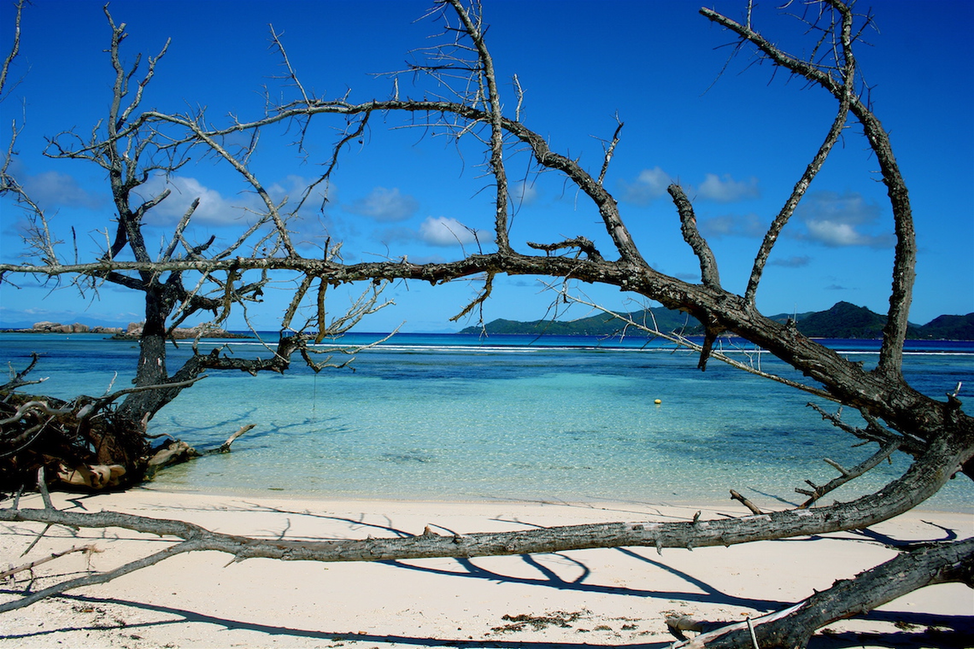 The marine environment of the Seychelles