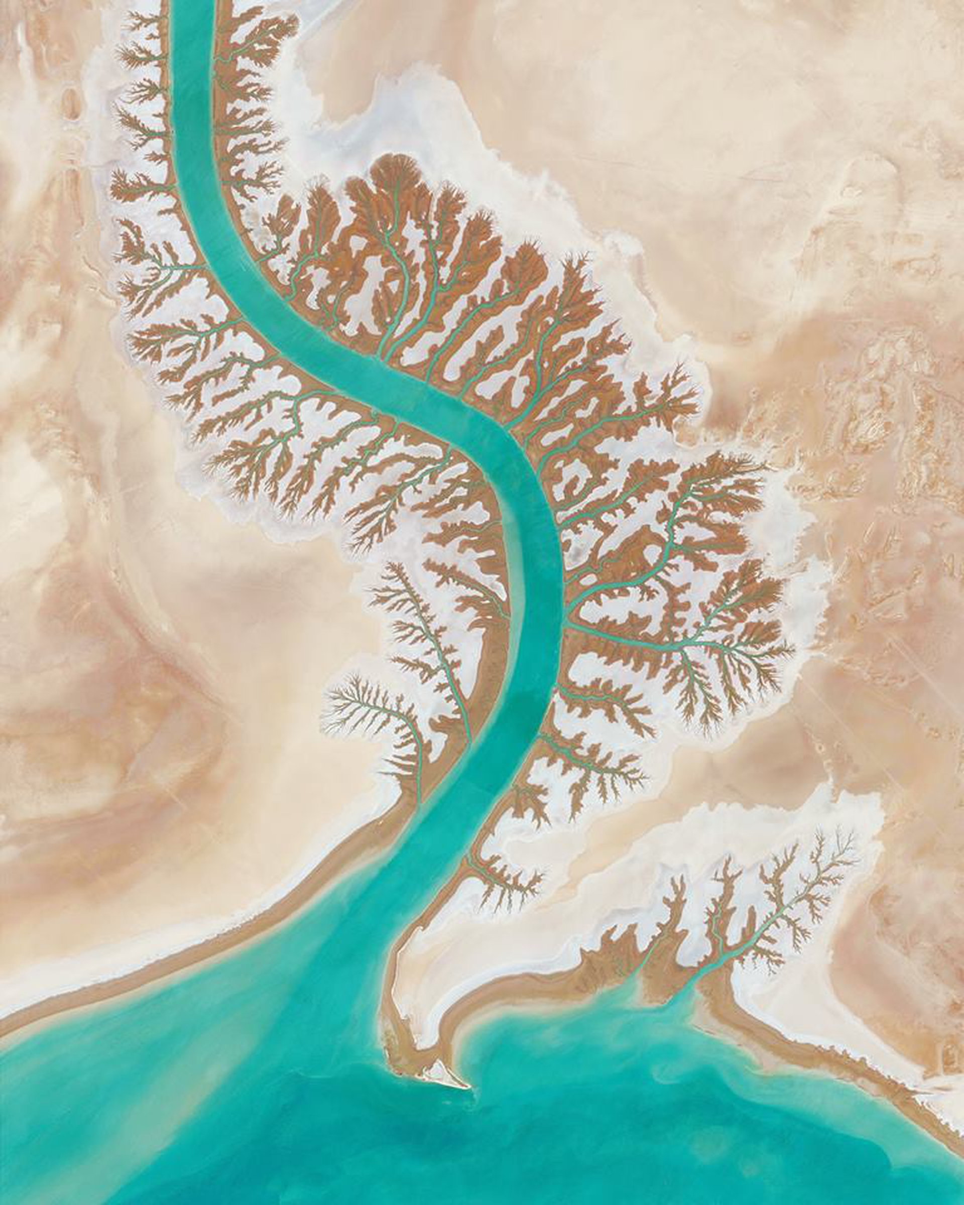 Overview. Shadegan Lagoon