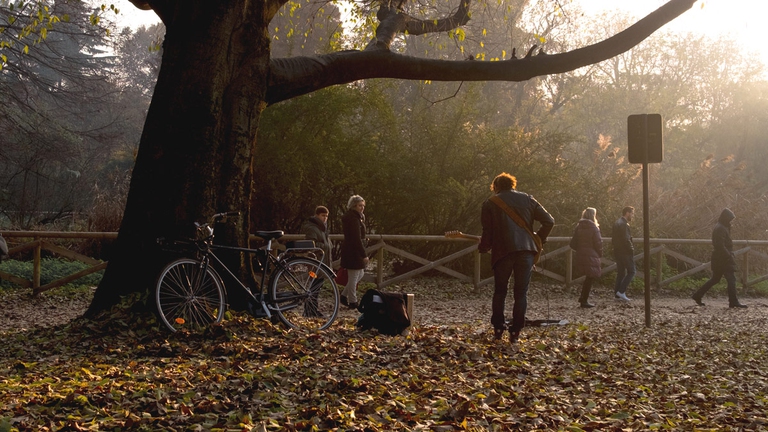 blocco del traffico a Milano dove si può circolare dove quando in che orari come funziona