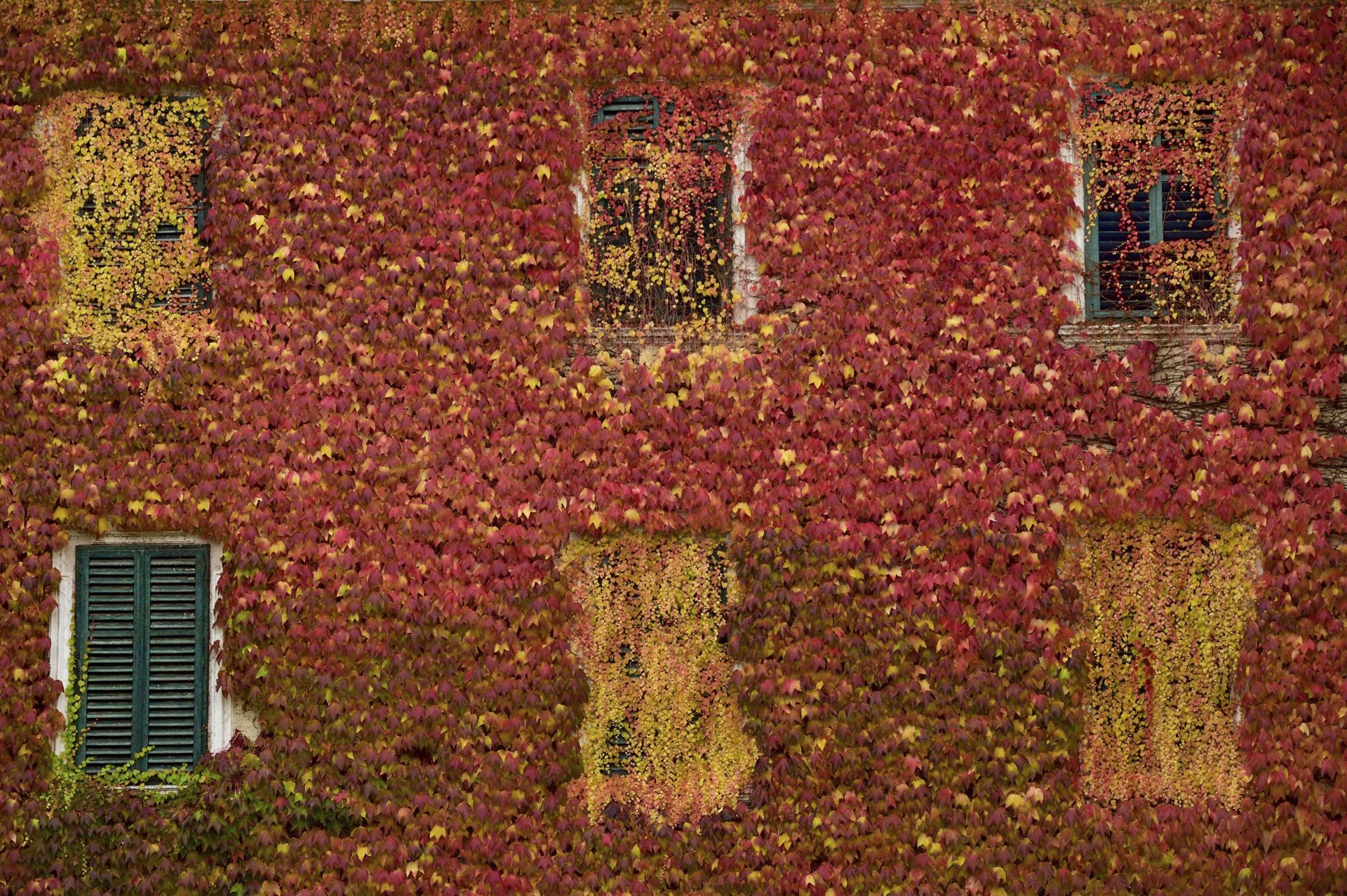 Abbazia di Novacella