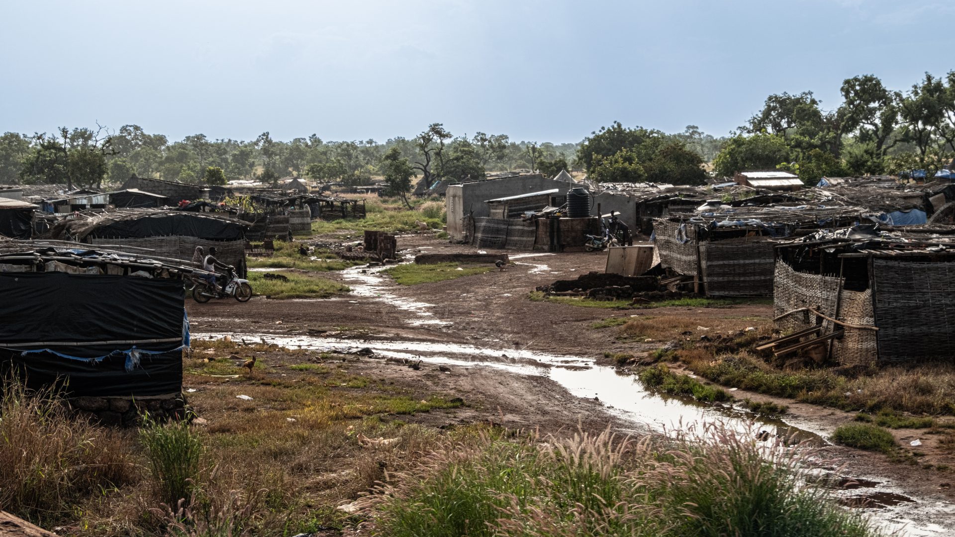 LongForm Sen Mau LifeGate-9