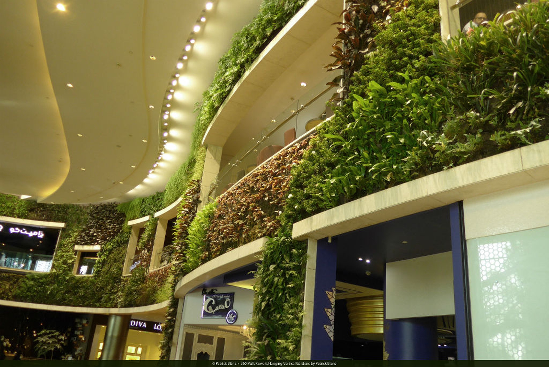 kuwait-hanging-vertical-gardens