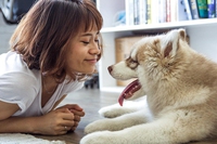 Consigli utili su cosa fare al primo calore del cane femmina