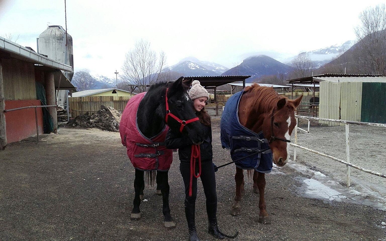 cavalli personalità università di pisa