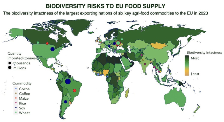 importazioni alimentari