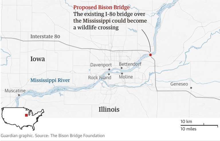 Mappa Bison bridge