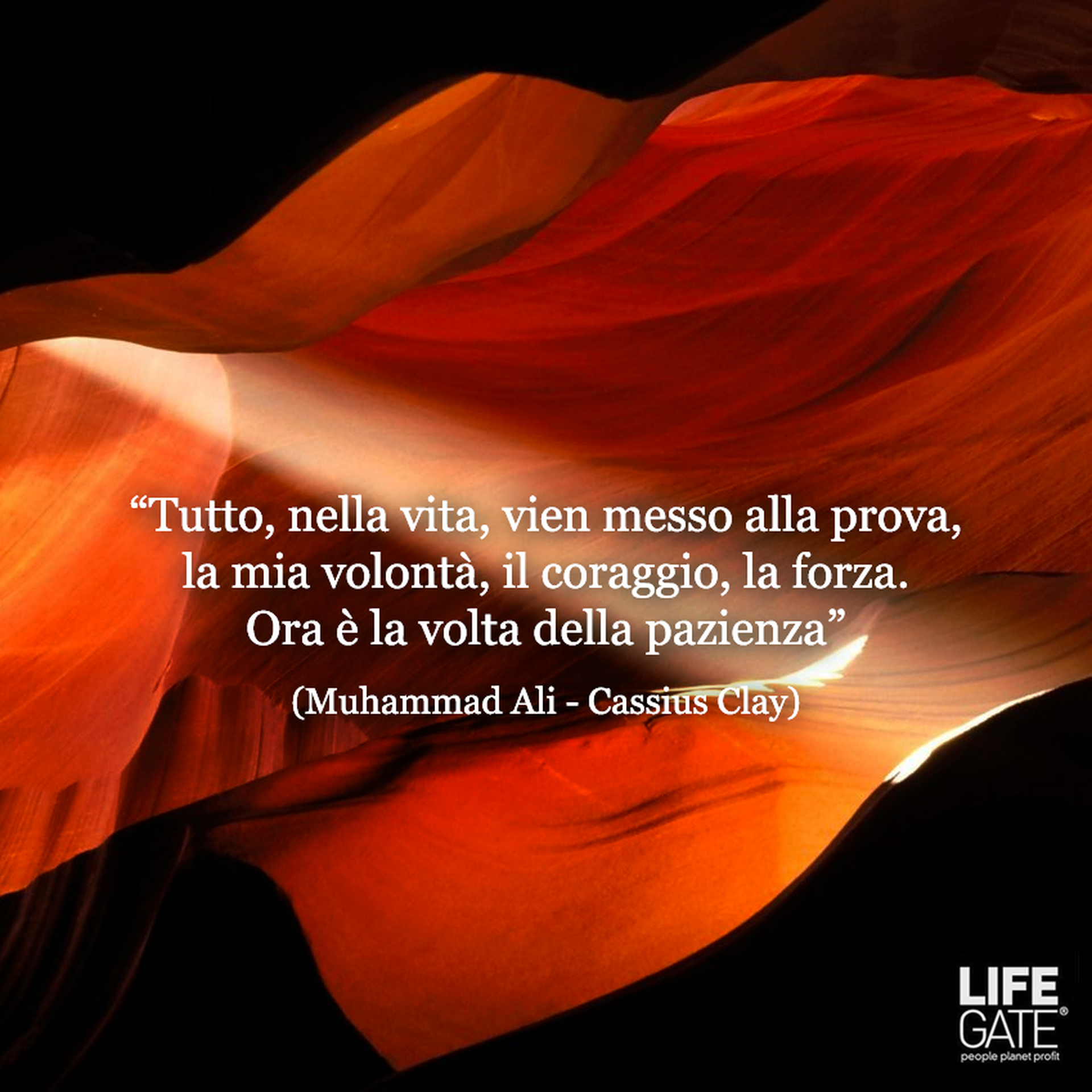 Le citazioni LifeGate