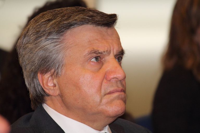 Kostas Stamoulis, Fao