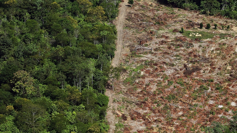 Deforestazione in Amazzonia