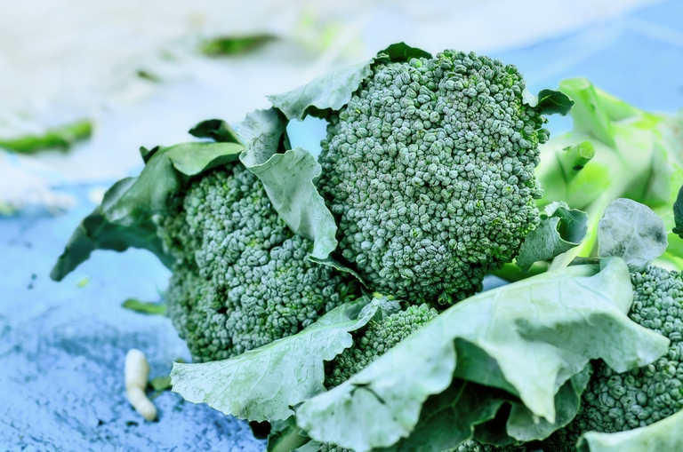 broccoli against pollution