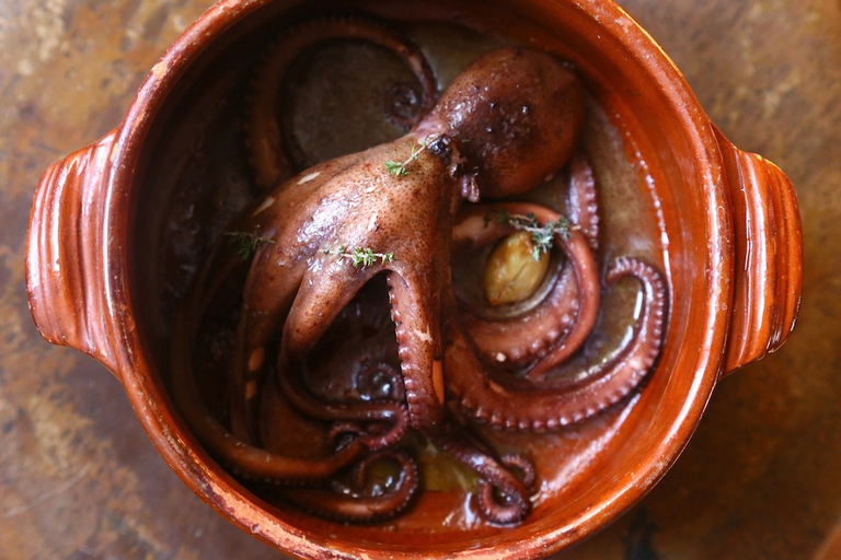 polpo nella sua acqua