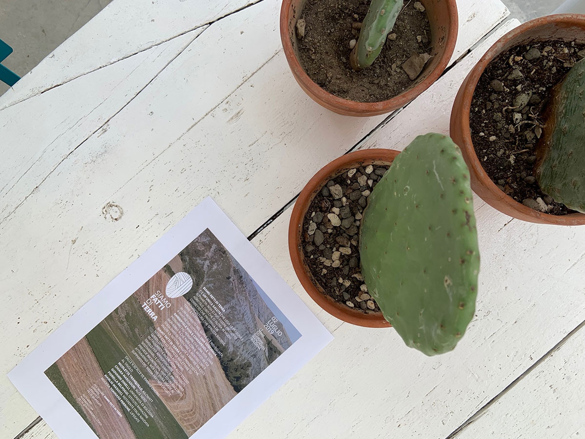 Siamo fatti di terra