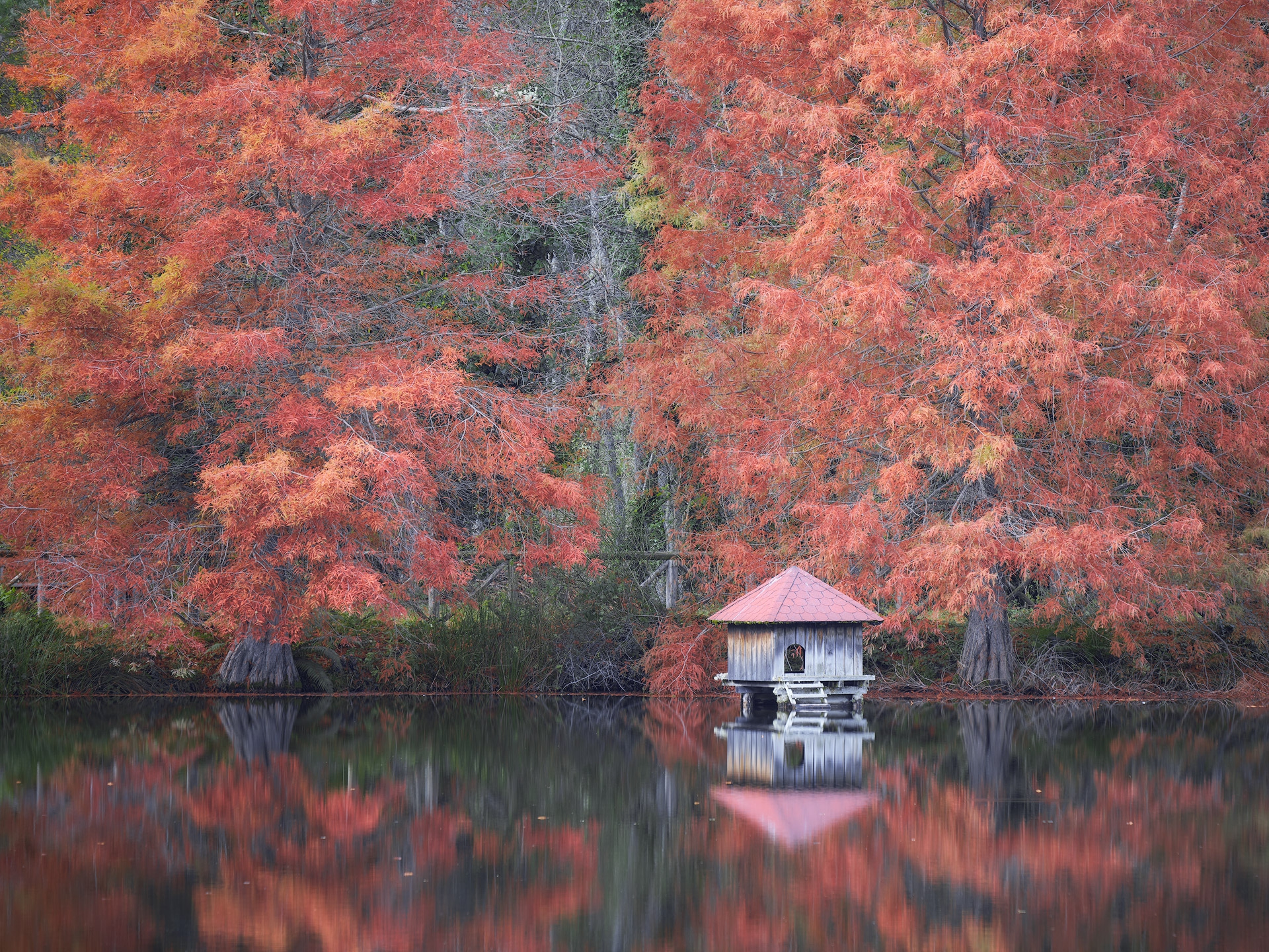 Parco naturale delle Serre, di Antonio Aleo