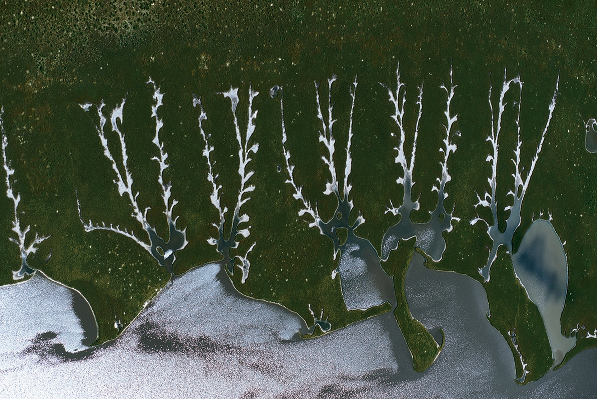 August, 2016 Amani calendar