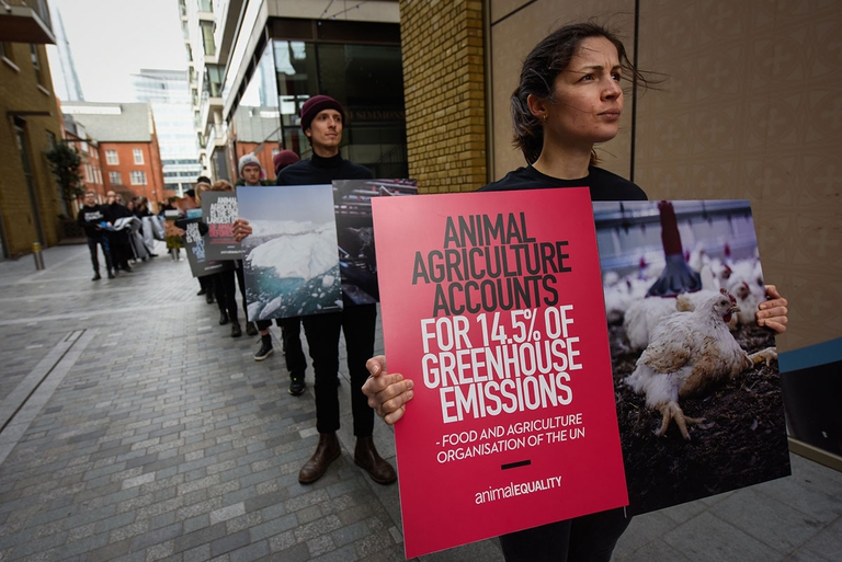 Joaquin Phoenix Animal Equality