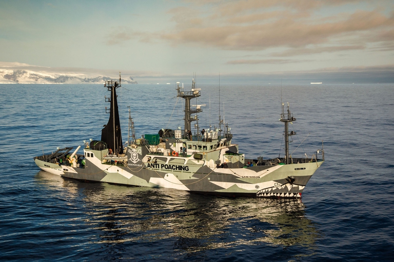 Le foto del libro dei 40 anni di Sea Shepherd