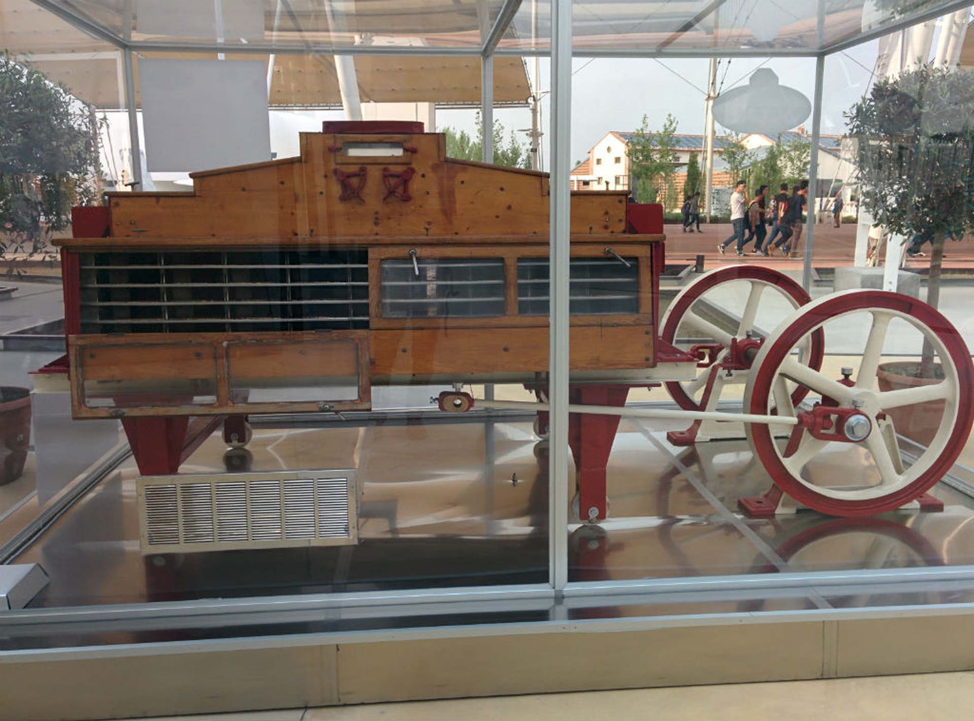 Il riso. Ecco uno dei veri protagonisti di Expo