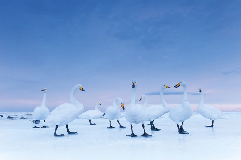 Forte di Bard fotografia