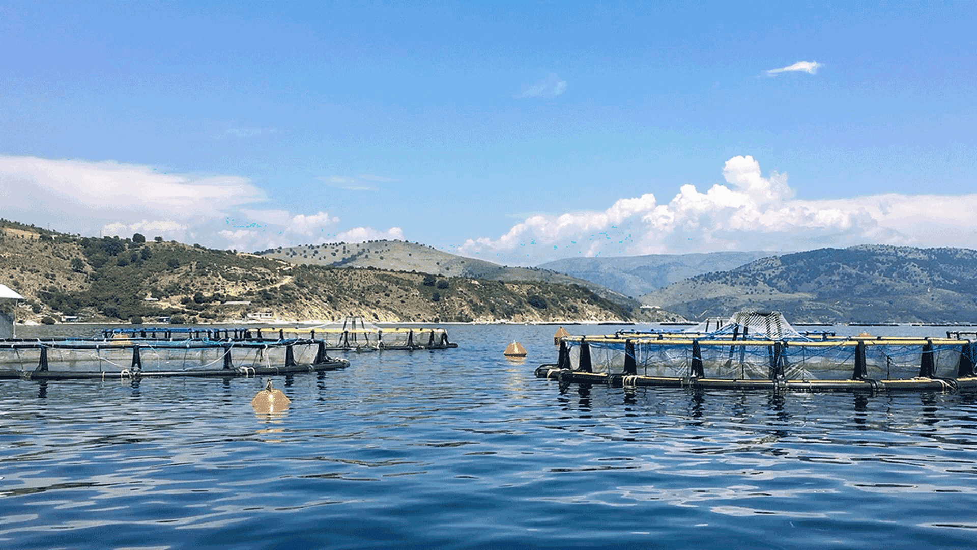 Allevamenti di orate e branzini in Grecia