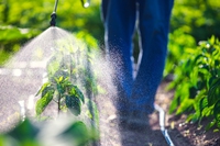 Pesticidi negli alimenti: cosa dice l’ultimo rapporto dell’Efsa