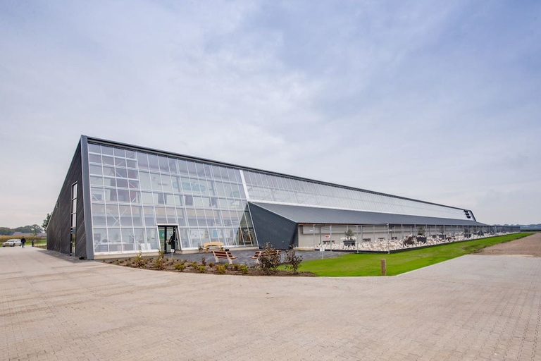 allevamento galline olanda ©www.kipster.farm