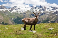 5 cose da fare in Val d’Aosta in tutte le stagioni