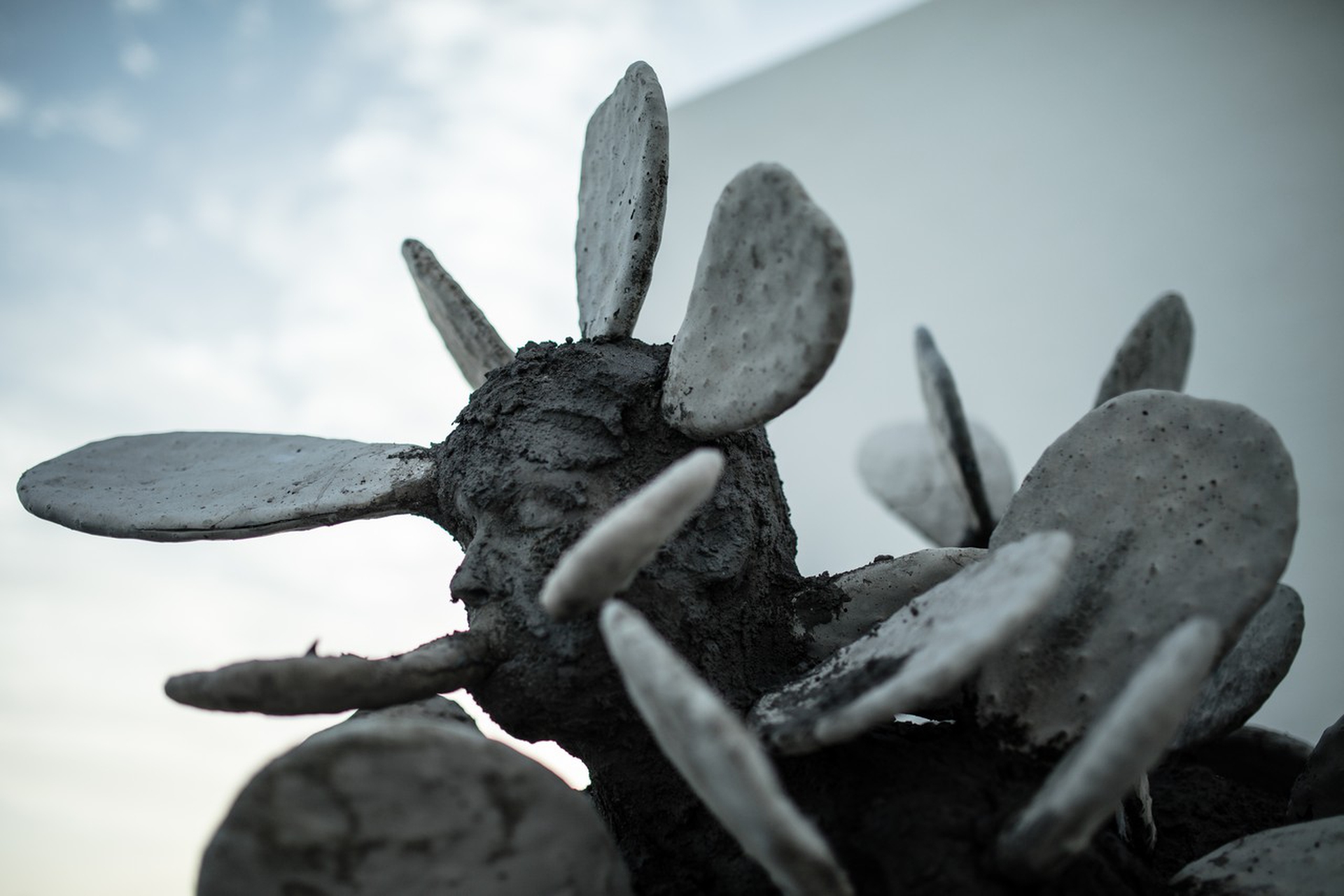 Museo Atlantico by  Jason deCaires Taylor