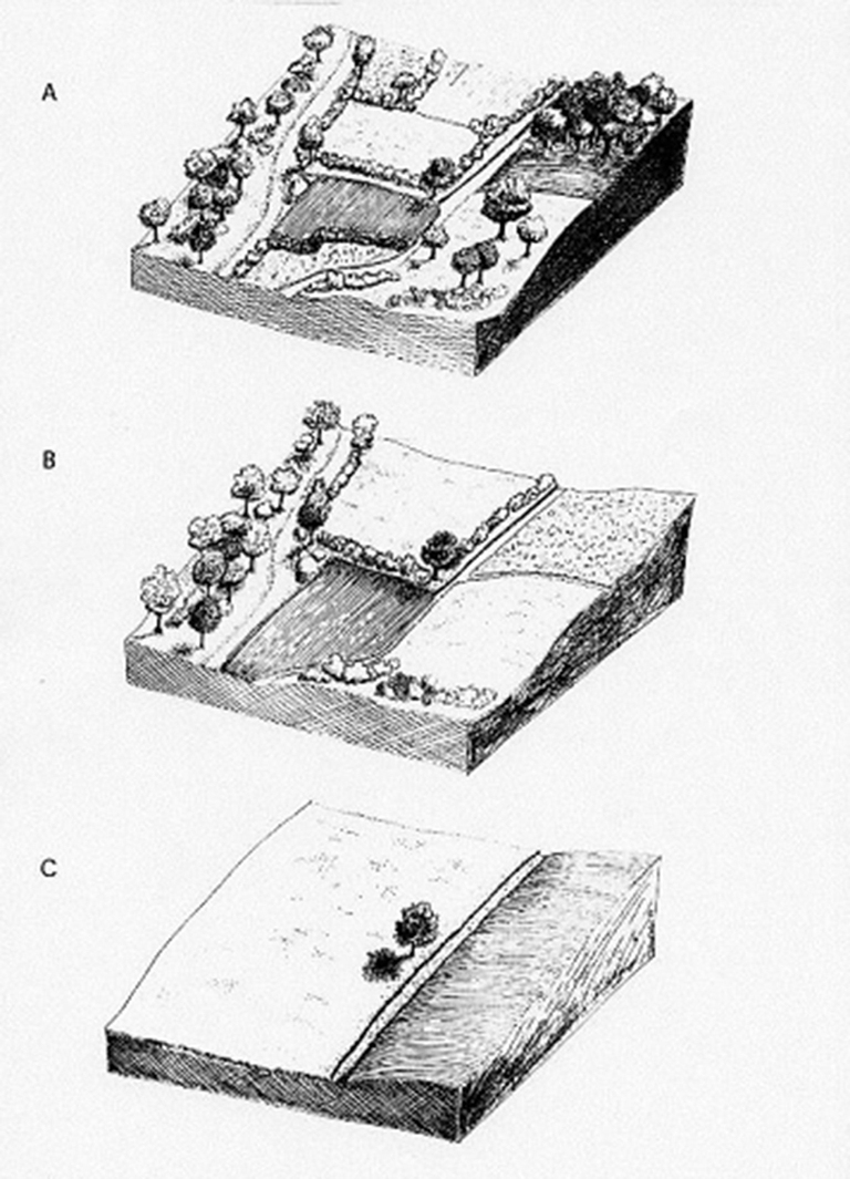 paesaggio agroforestazione