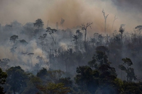 Le foreste bruciano anche in Africa. Ma non per le stesse ragioni