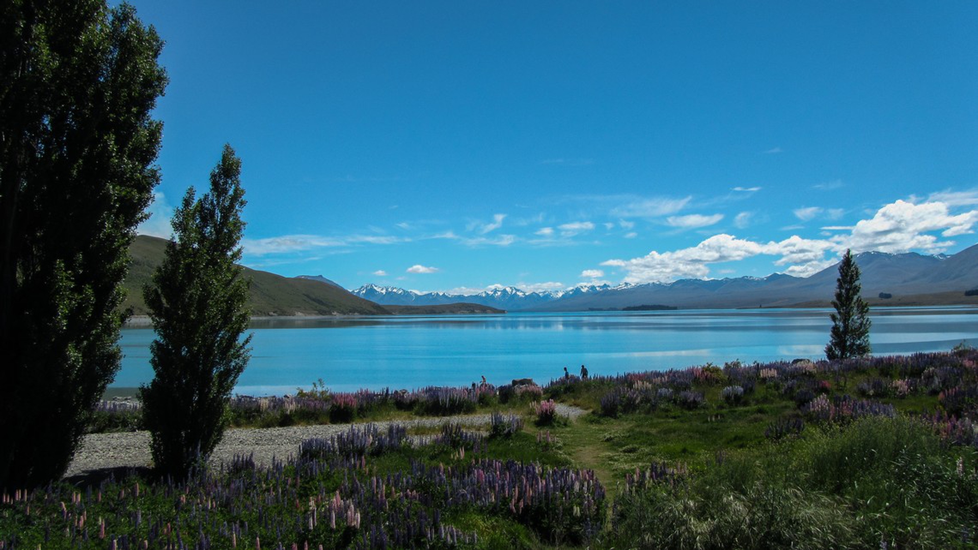 Il sentiero di Te Araroa, in Nuova Zelanda