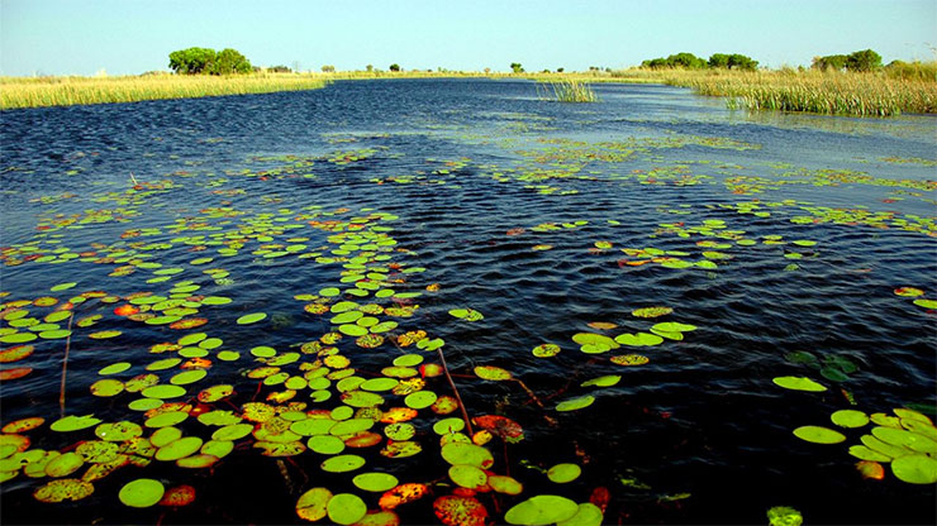 okavango2