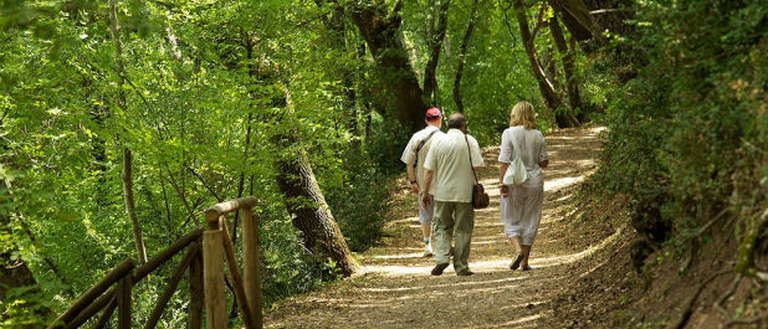 o-BOSCO-SAN-FRANCESCO-facebook