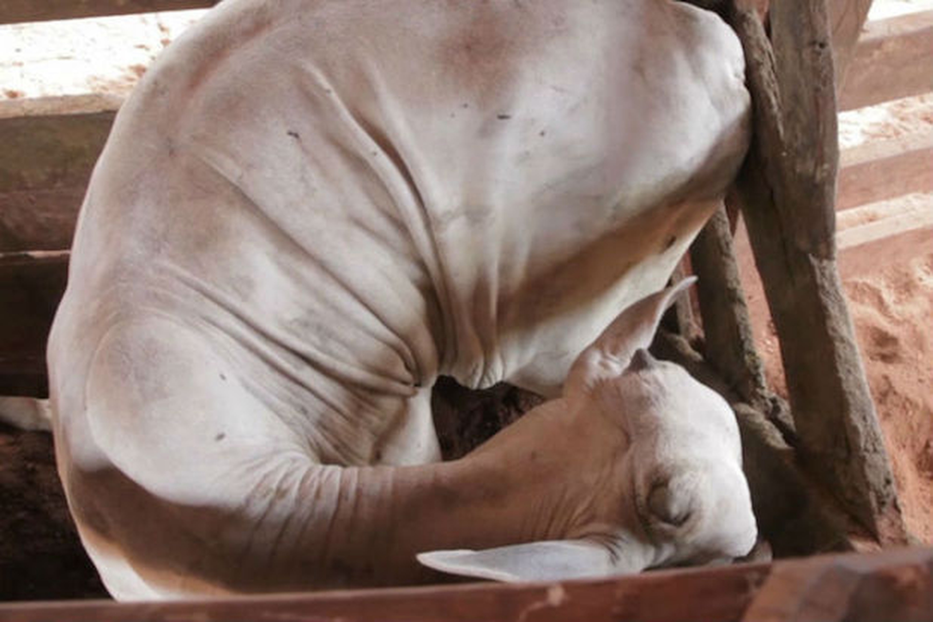 Morrissey_General_Motors2