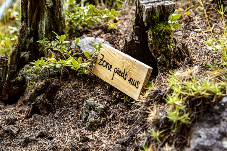 Monte Bianco, viaggio, giardino botanico, Svizzera