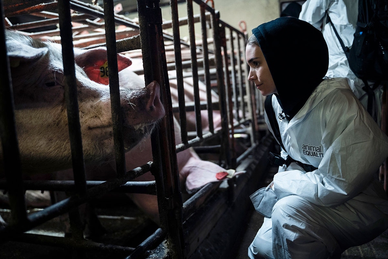 Rooney Mara Animal Equality