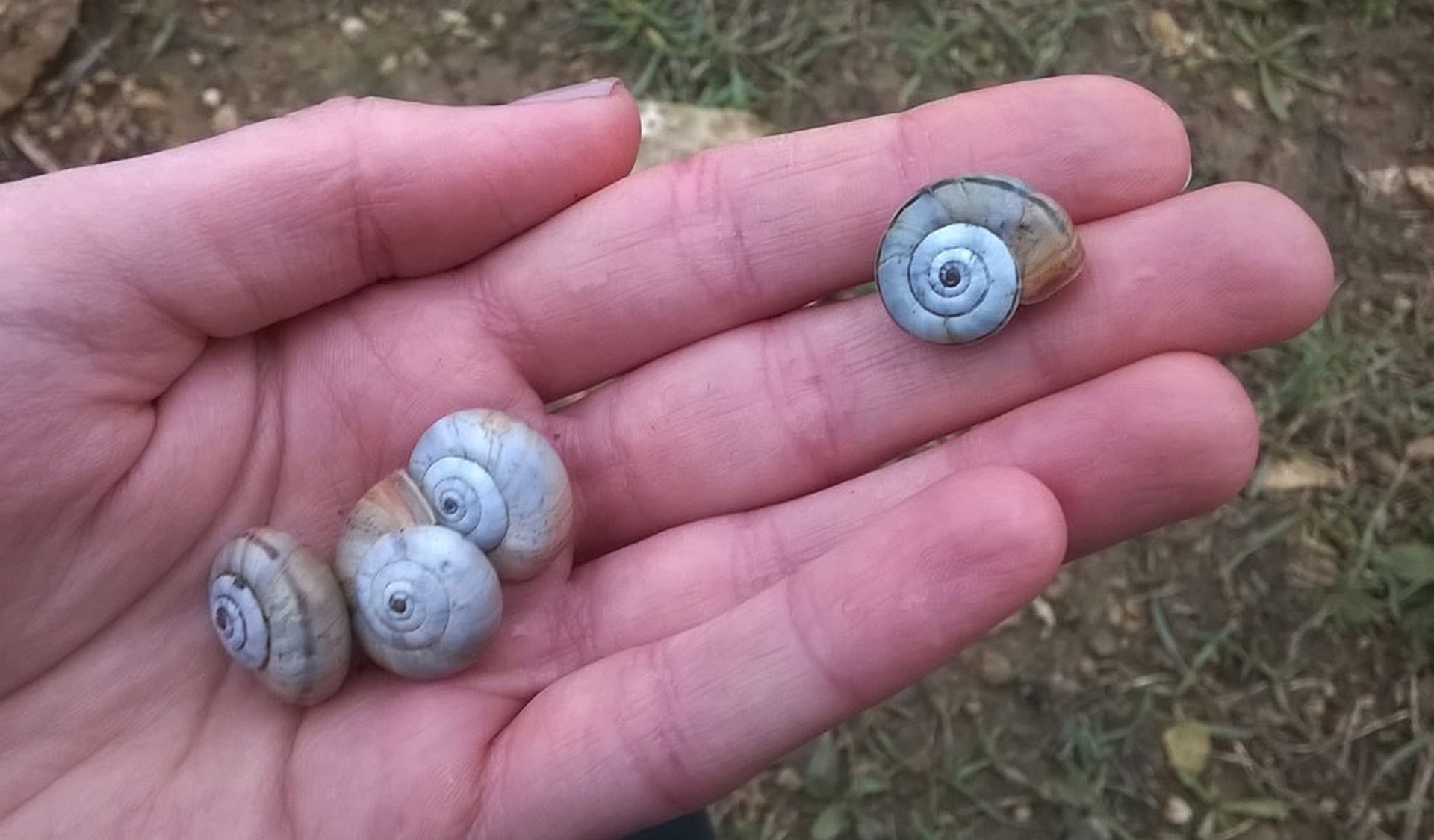 Le meraviglie della natura